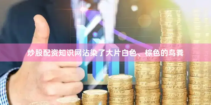 炒股配资知识网沾染了大片白色、棕色的鸟粪